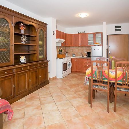 Apartment Morena Novigrad  ภายนอก รูปภาพ