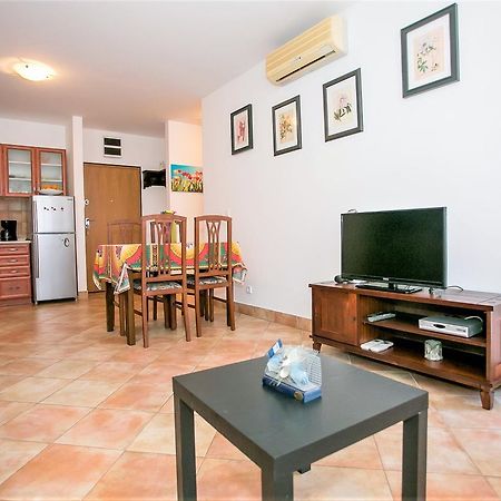 Apartment Morena Novigrad  ภายนอก รูปภาพ