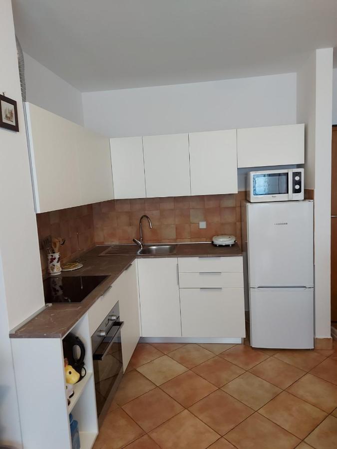 Apartment Morena Novigrad  ภายนอก รูปภาพ
