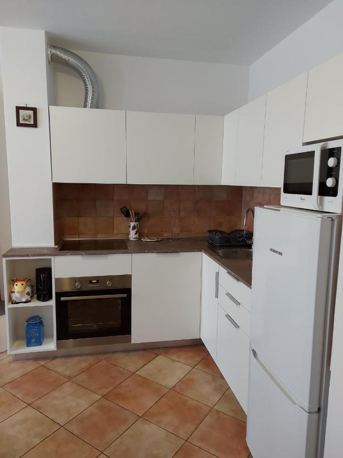Apartment Morena Novigrad  ภายนอก รูปภาพ