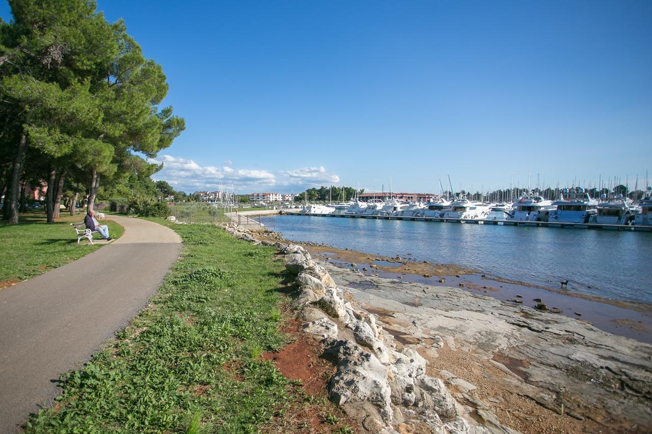 Apartment Morena Novigrad  ภายนอก รูปภาพ