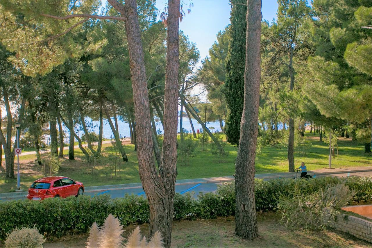 Apartment Morena Novigrad  ภายนอก รูปภาพ