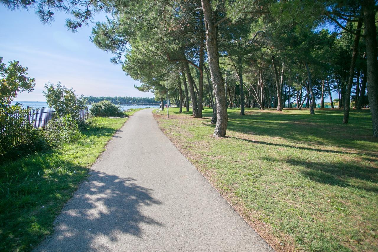 Apartment Morena Novigrad  ภายนอก รูปภาพ